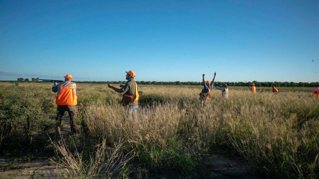 quail hunters 