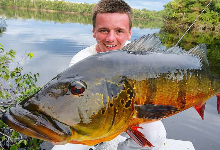 peacock bass fishing