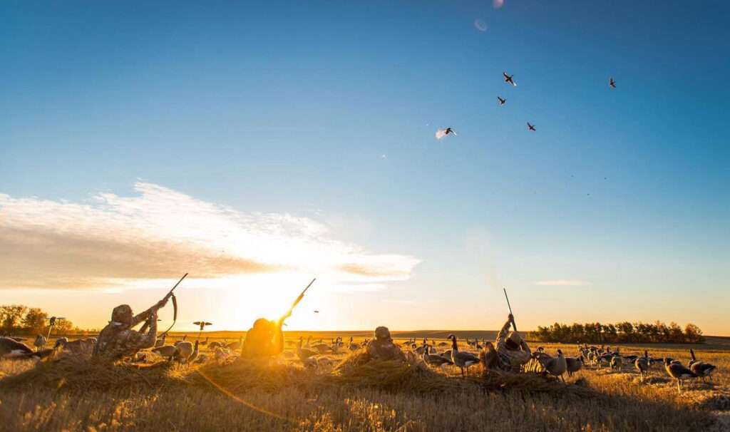  Hunt Canada geese, ducks, sandhill cranes, and more with expert guides. High bag limits and customizable hunts. Book your 3-day trip today!”