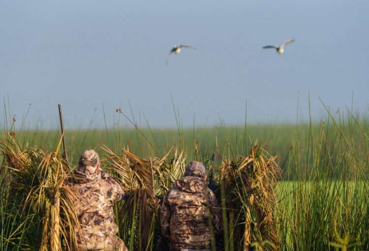 Duck hunting in Argentina