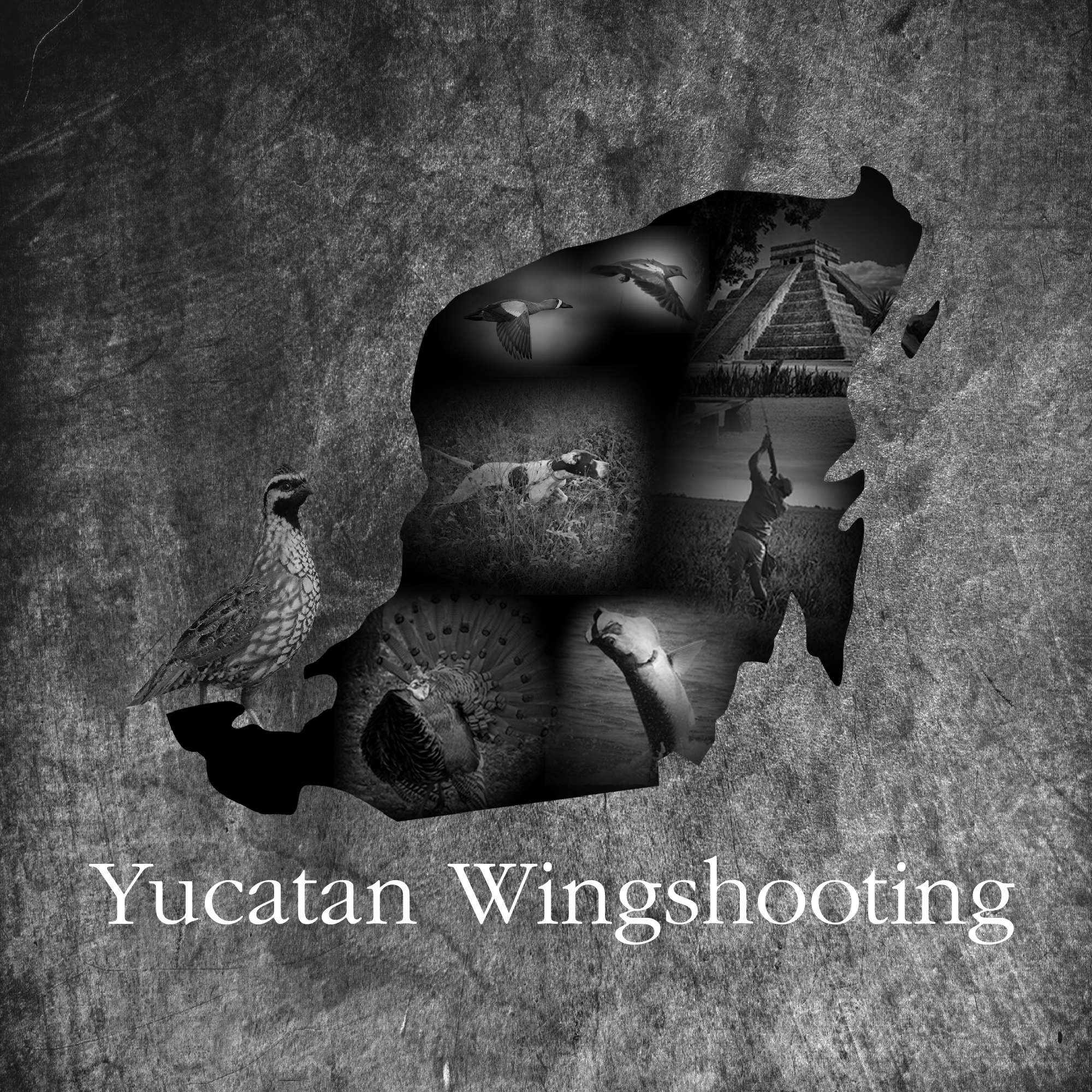 Yucatan Wingshooting